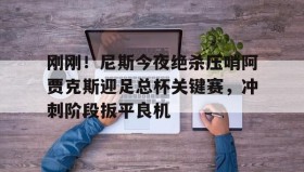欧博官网入口-刚刚！尼斯今夜绝杀压哨阿贾克斯迎足总杯关键赛，冲刺阶段扳平良机的简单介绍